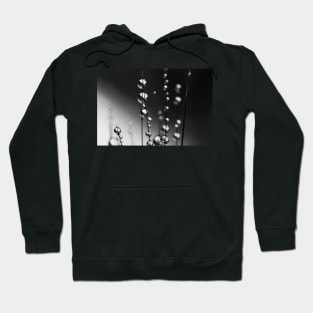 Grass Seed Drops II Hoodie